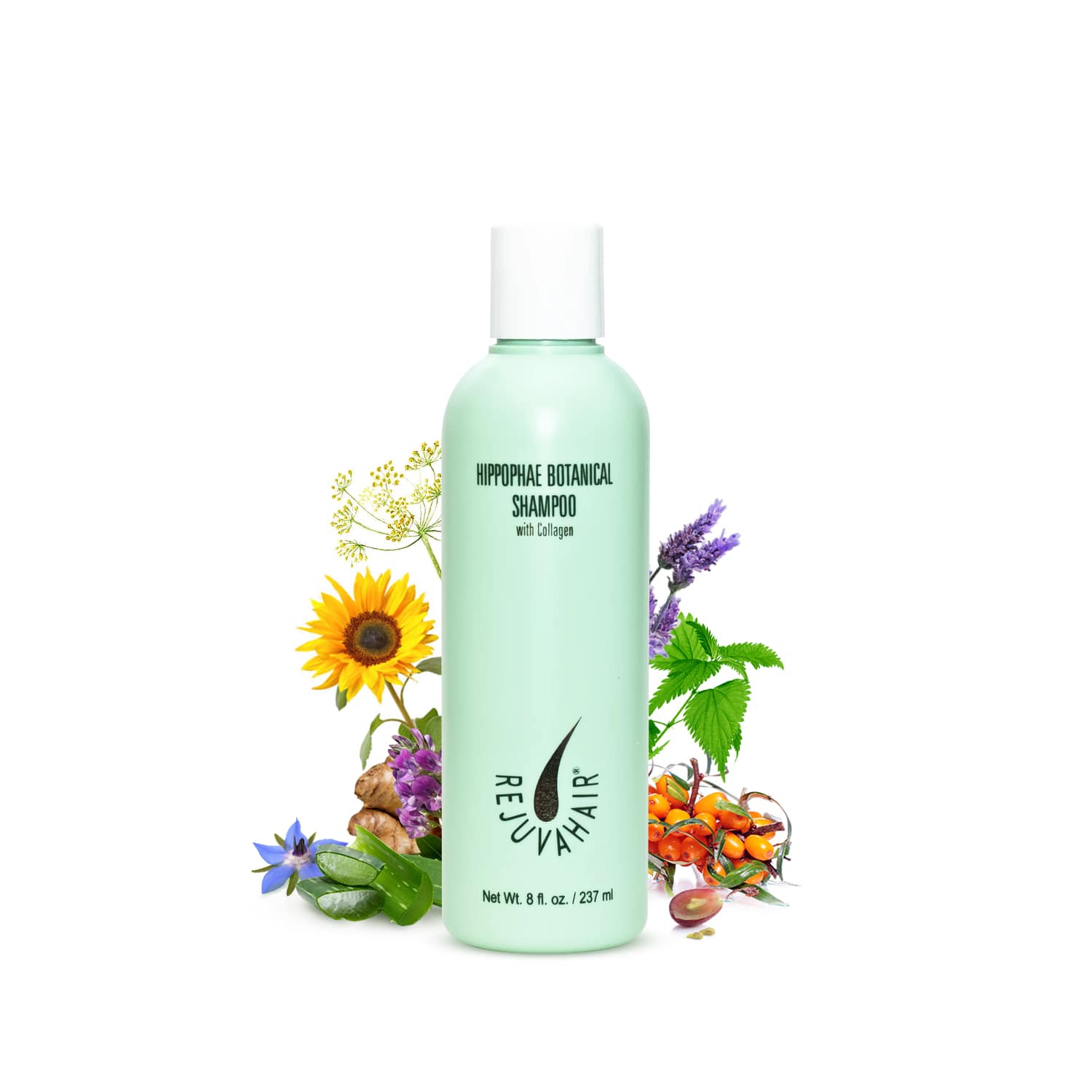 Hippophae Botanical Shampoo with Collagen