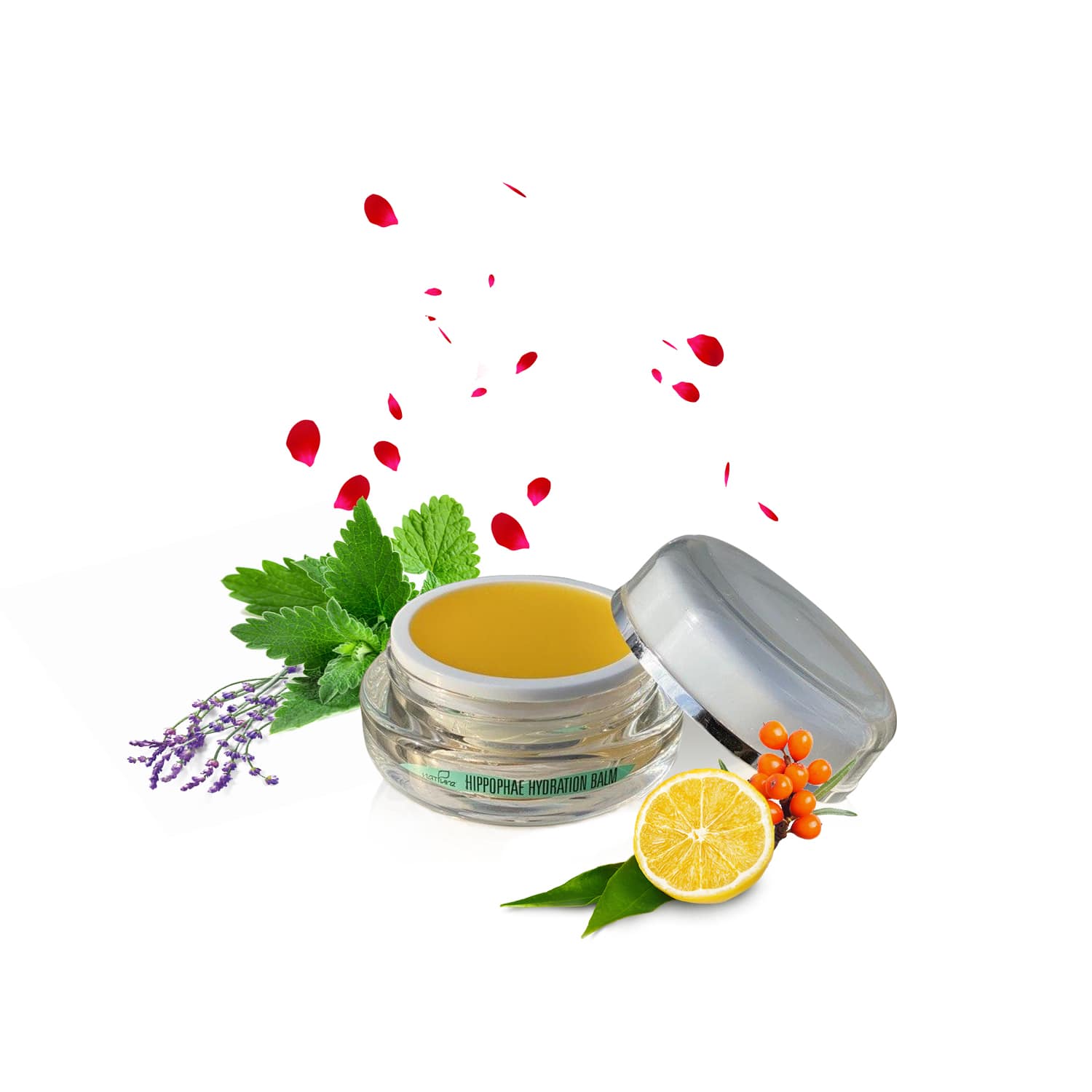 Hippophae Hydration Balm