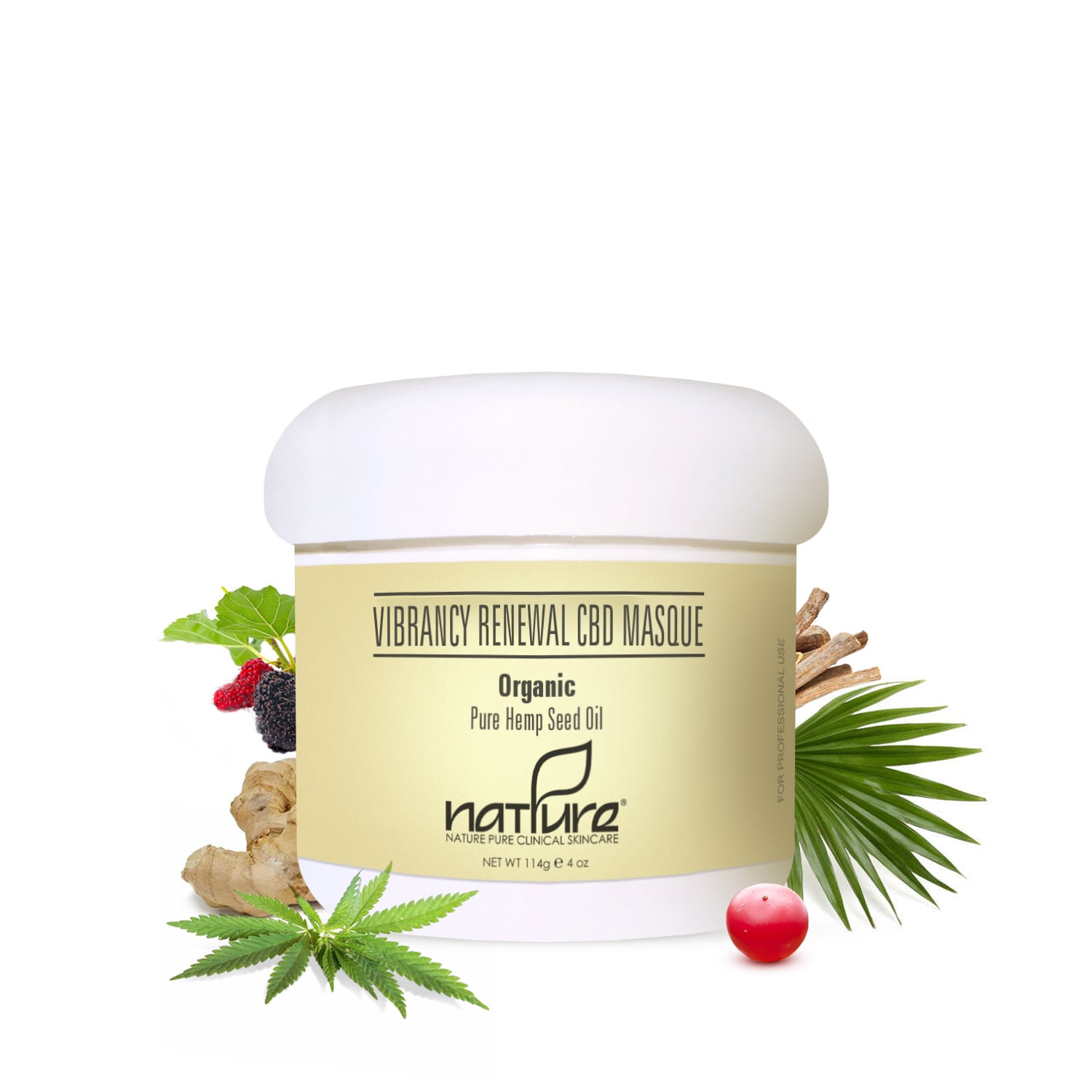 Professional Vibrancy Renewal CBD Masque