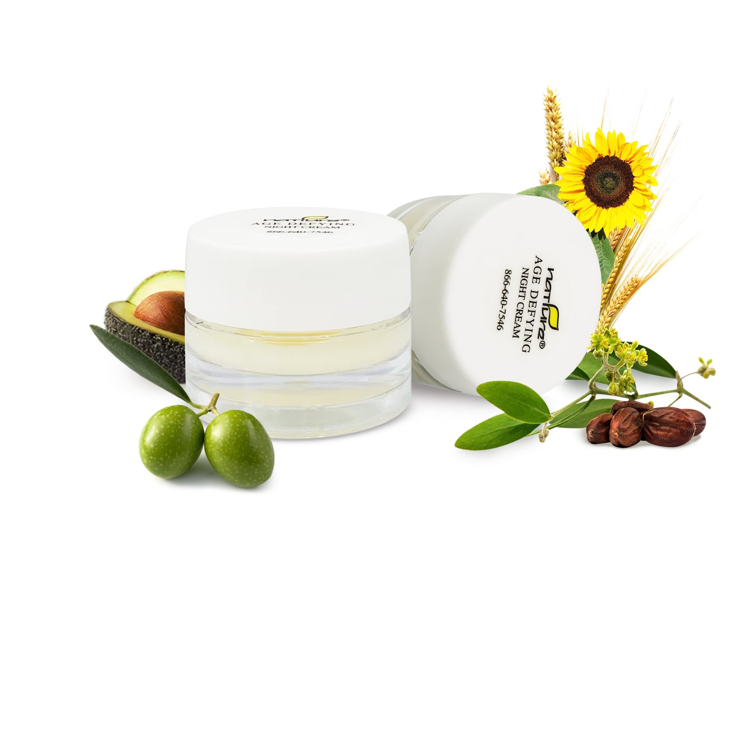 Age Defying Night Cream Petite Size