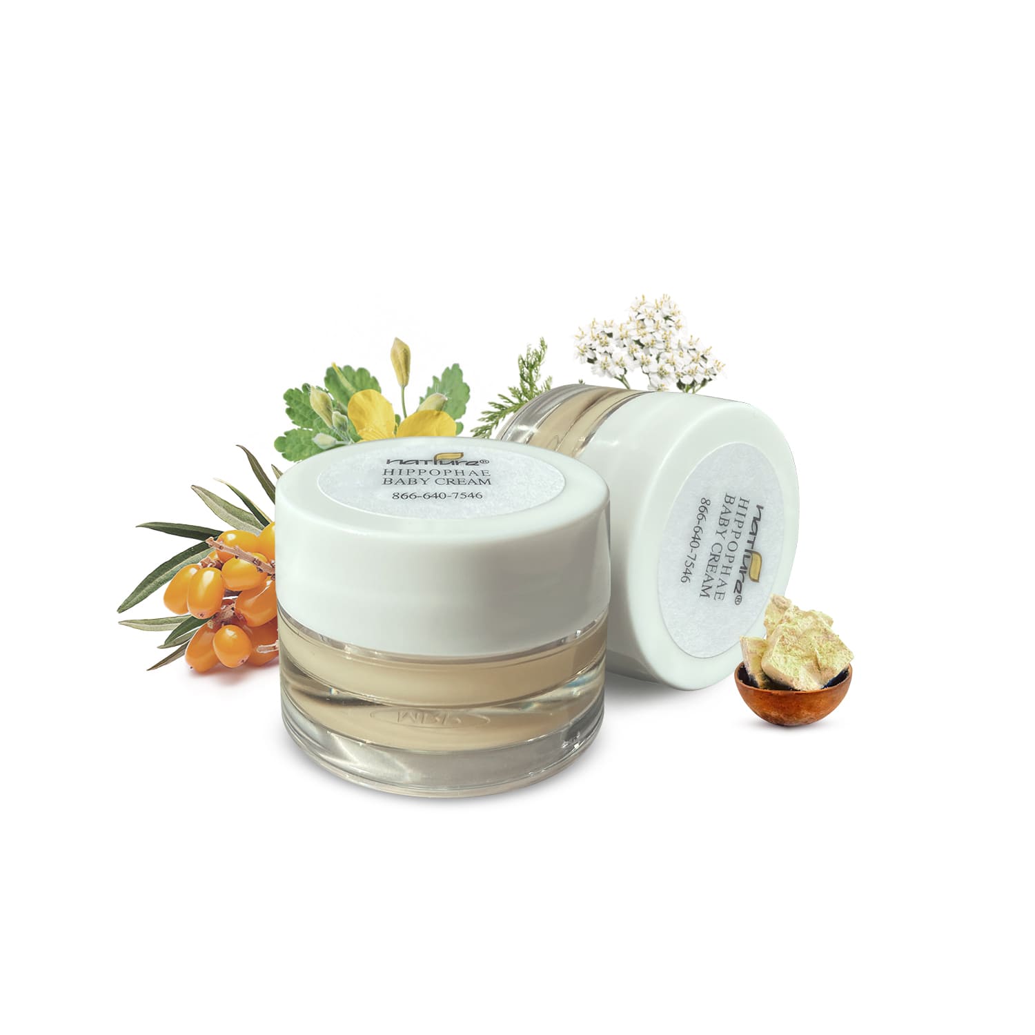 Hippophae Baby Cream Petite Size